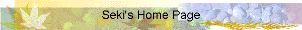 Seki's Home Page